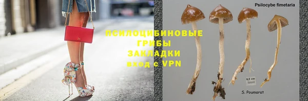 прущая мука Белокуриха