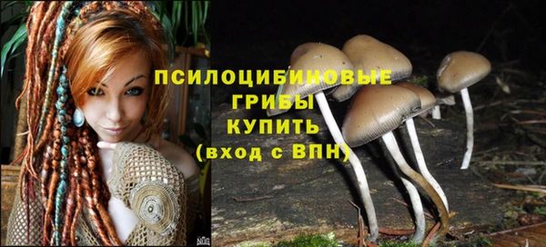 дмт Беломорск