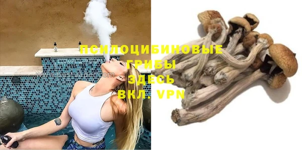 прущая мука Белокуриха